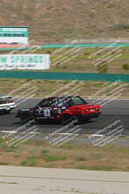 media/May-04-2024-Lucky Dog Racing (Sat) [[d39539b3f3]]/Race Pics/10am (Turn 1)/